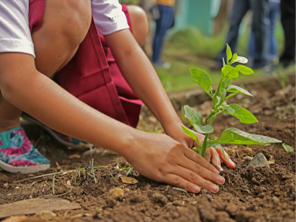 Sustainable Development Technology