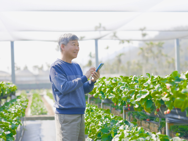 Sustainable Innovation Funding