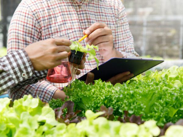 smart farming