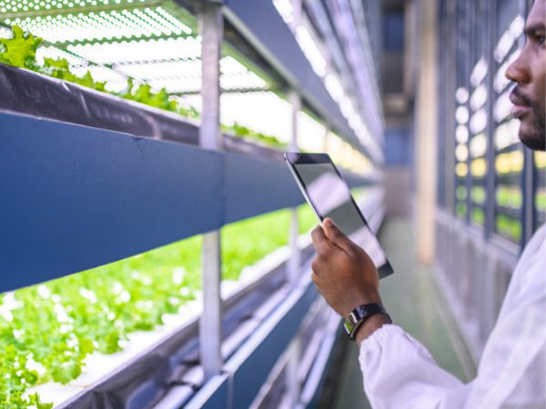 Canadian greenhouse industry