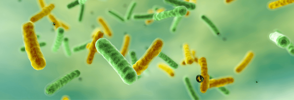 résistance aux antimicrobiens
