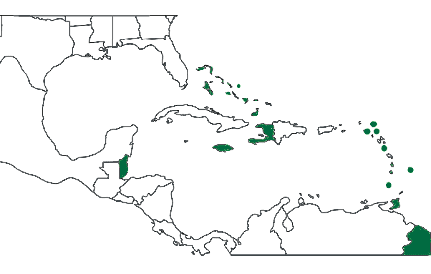 Caribbean Map