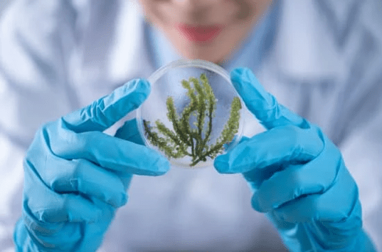 Chemistry for a sustainable future