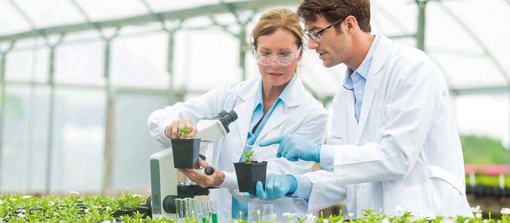 Image d'en-tête représentant le soutien de Leyton à une entreprise agricole québécoise dans le programme de crédit d'impôt RS&DE