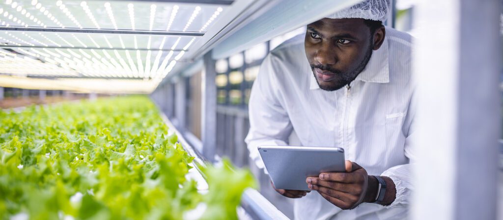 Étude de Cas RS&DE Agroalimentaire : Le Parcours Durable d'une Entreprise Québécoise et son Investissement en R&D