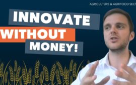 Overview of the AgrInnovate Program's funding opportunities for Agriculture & AgriFood businesses in Leyton's video series.