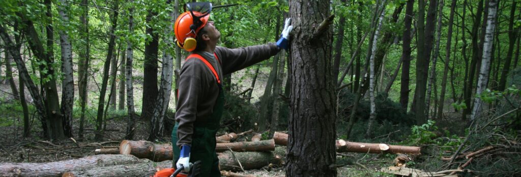 volet d'investissement en capital ITIF