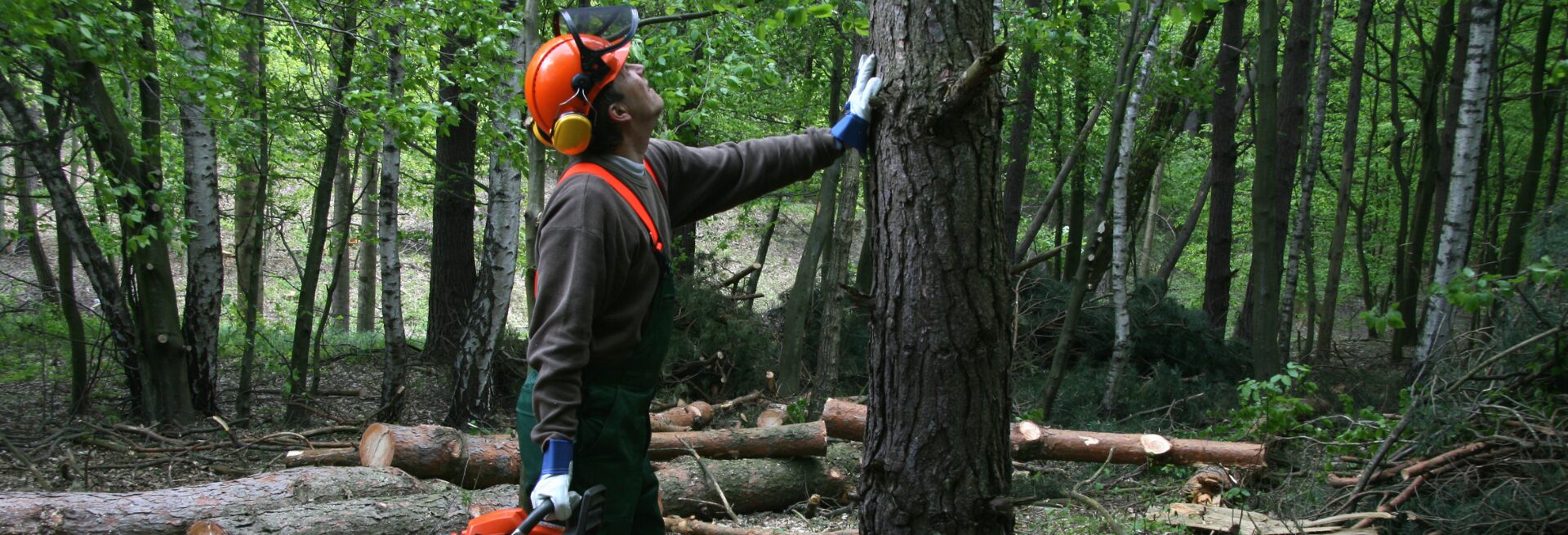 volet d'investissement en capital ITIF