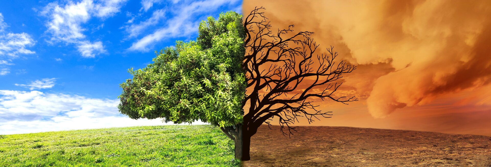 changements climatiques