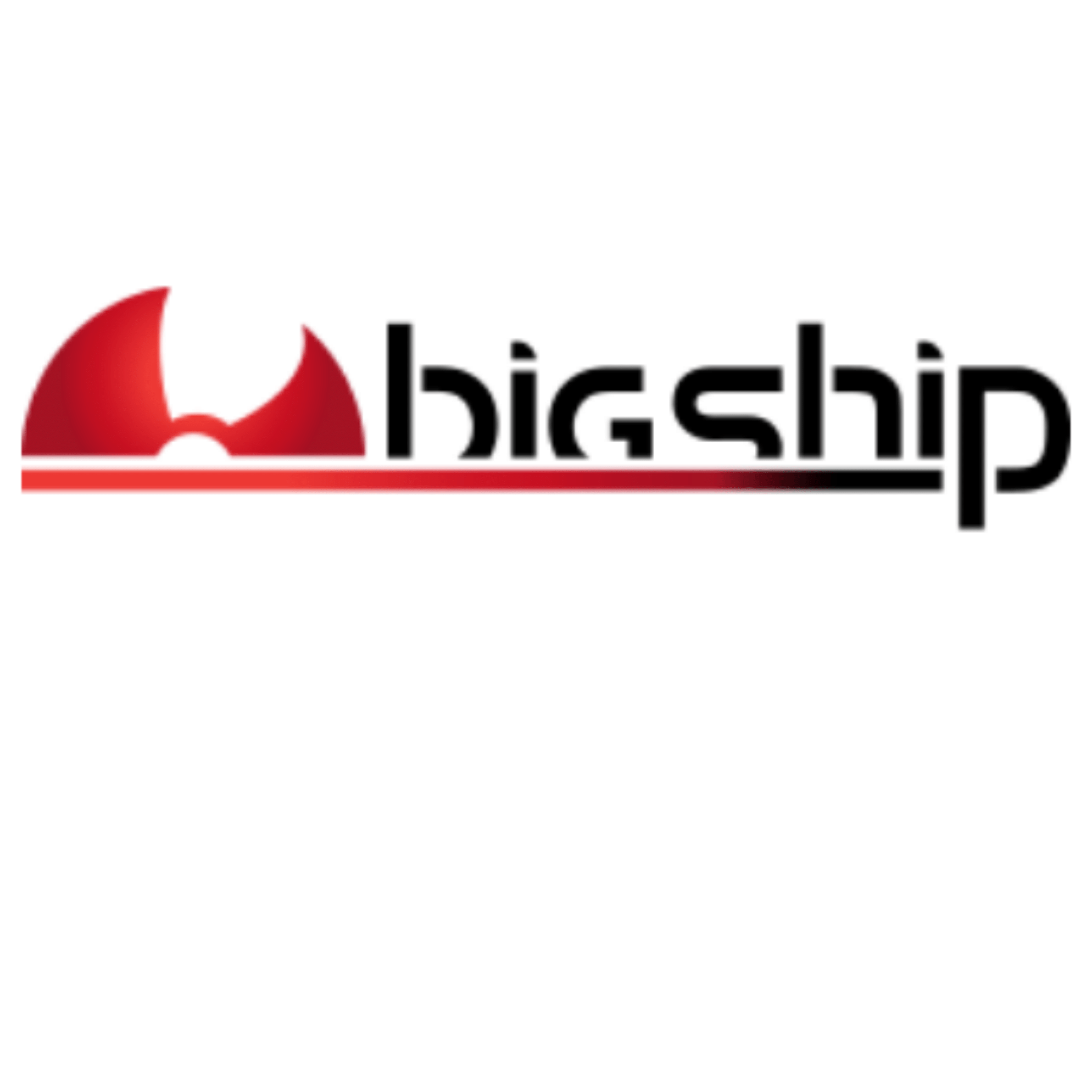 bigship logo