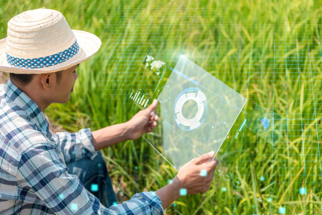 Ayuda PERTE Descarbonización