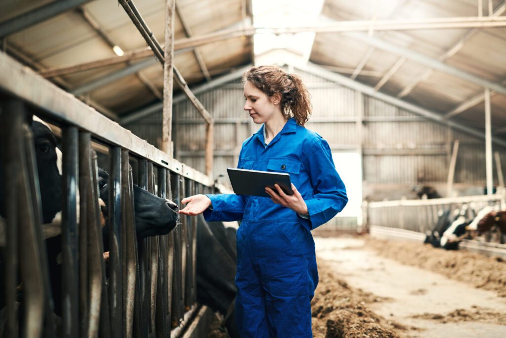 Ayuda Industrias Agroalimentarias Aragón