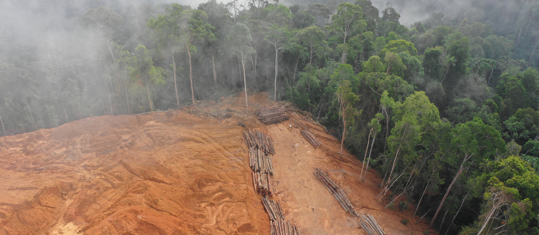 Les méthodologies REDD approuvées par l'ICVCM