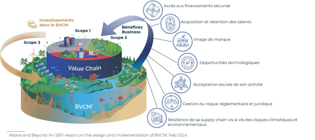 Opportunités et investissements liées au BVCM