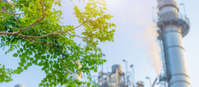 Comment la compensation carbone accélère-t-elle à la décarbonation des entreprises ?