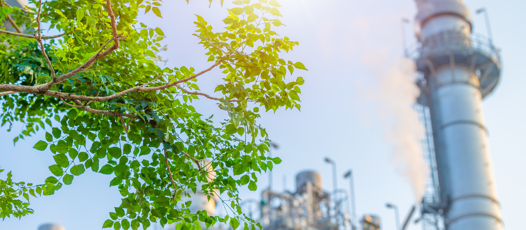 Comment la compensation carbone accélère-t-elle à la décarbonation des entreprises ?