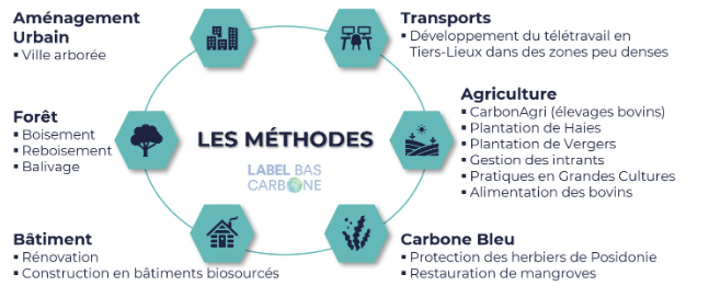 Le bilan à 5 ans : réalisations et défis