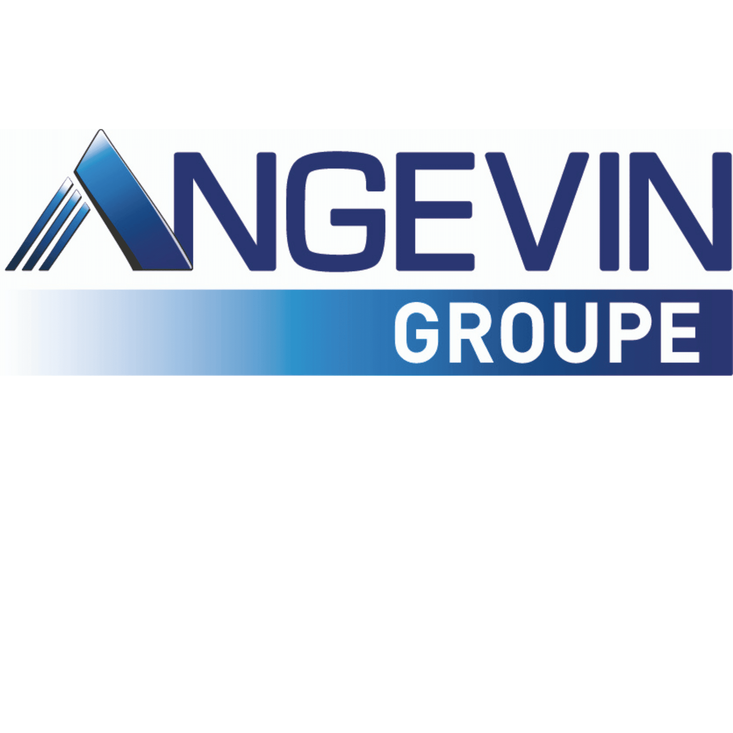 Angevin groupe logo