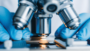 Działania badawczo-rozwojowe