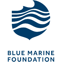 blue marine foundation