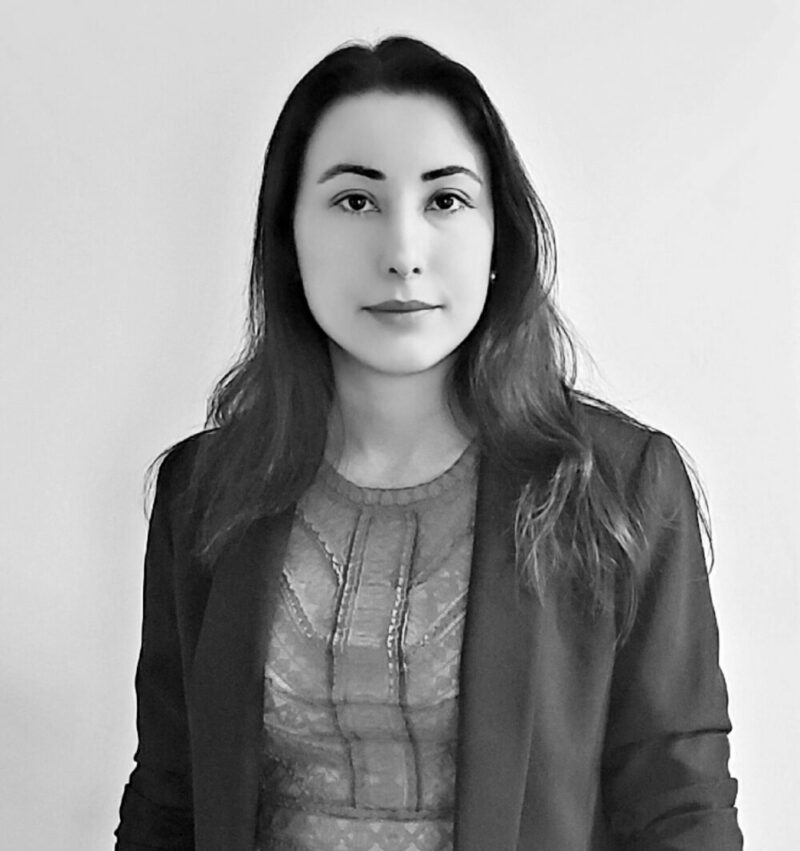 Evangelia Dislaki-Engineering and Materials Science Technical Consultant