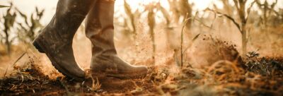 commercial farmer registration