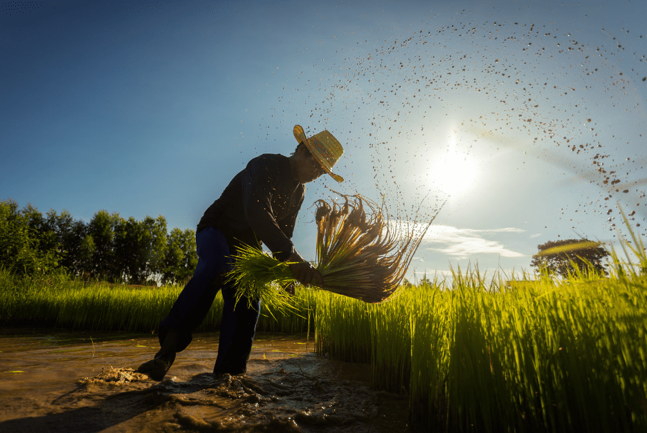 Transizione ecologica nel settore agroalimentare