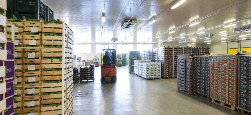 Logistica agroalimentare agevolazioni