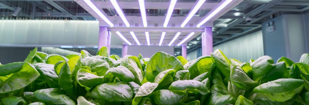 Canadian greenhouse industry