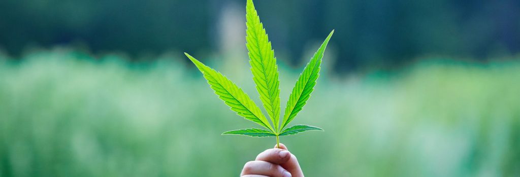 Cannabis industry