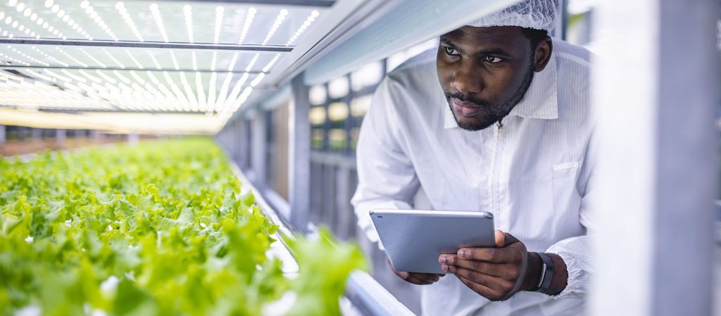 Image Agri-Food SR&ED Tax Credit Case Study: Quebec Company's Sustainable Journey and R&D Investment