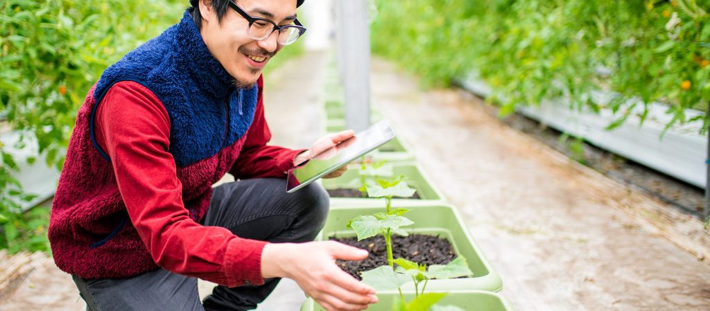 Leyton aide une entreprise québécoise de conception de solutions nutritionnelles à réussir son RS&DE