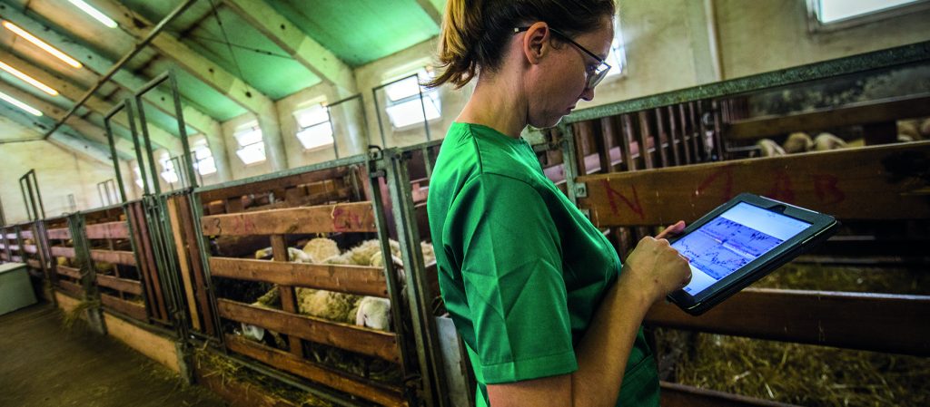 Subventions Aliments Animaux : une entreprise québécoise dans l'alimentation animale atteint un succès de financement de 37 000 $ avec l'appui de CanExport PME