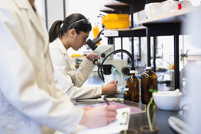 Scientist conducting laboratory research and experimentation for SR&ED tax credit purposes.