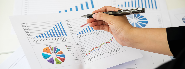 Customs Data Analytics & Trade Spend Audits (3)