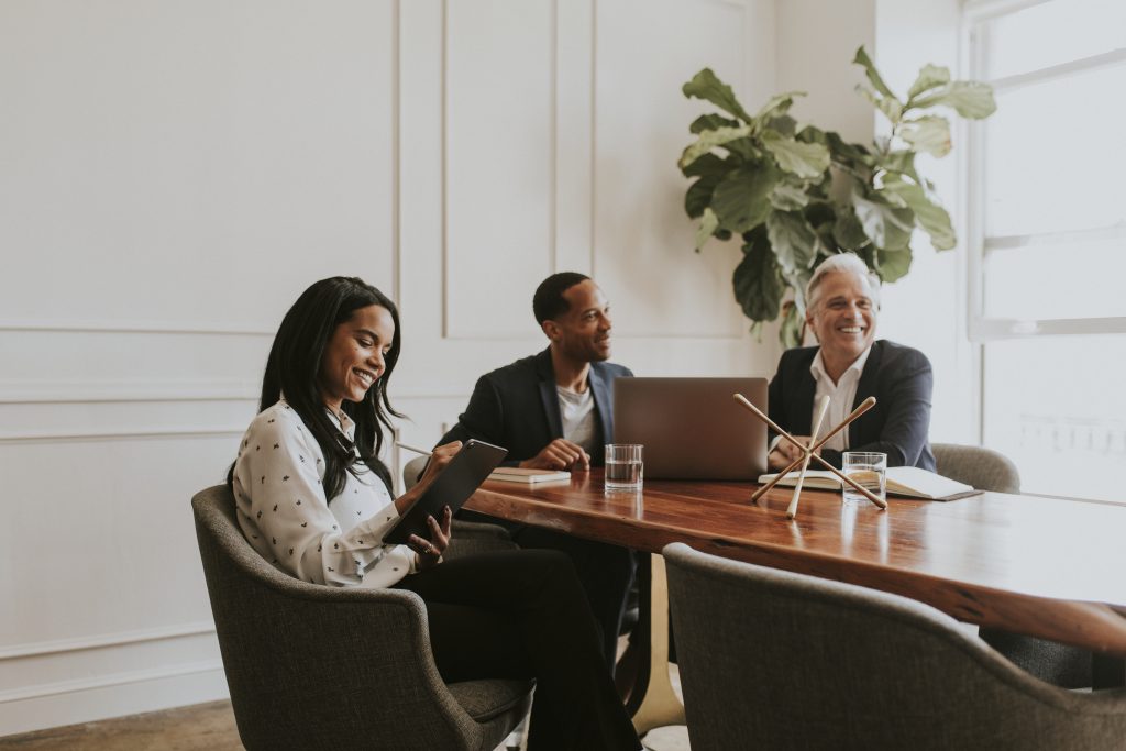 business professionals in meeting