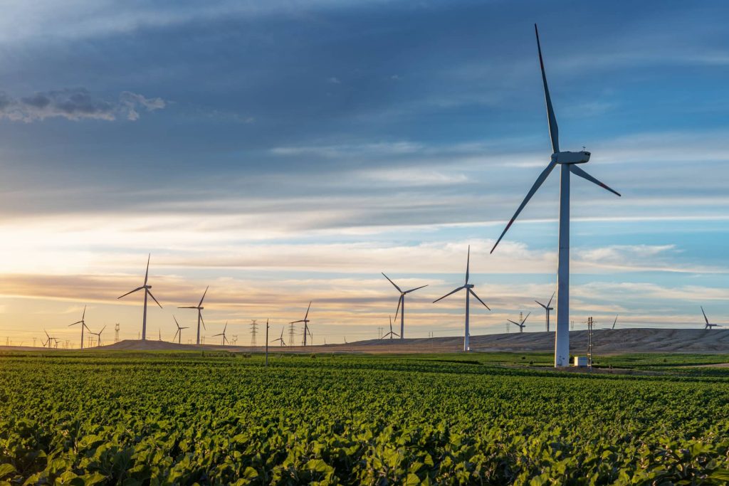 wind turbines along green grass
